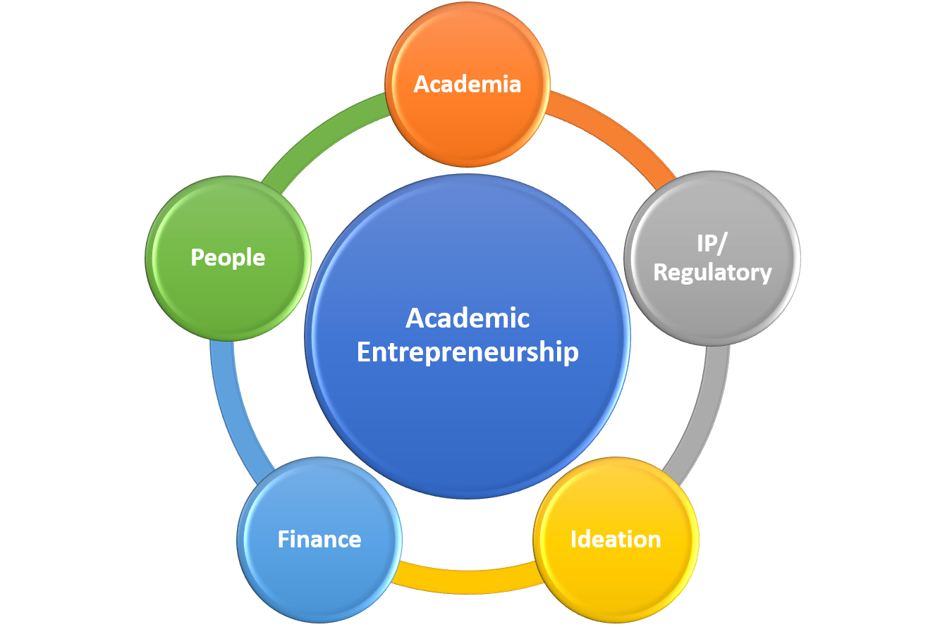 What is Academic Entrepreneurship?
