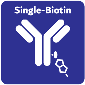 single bioton
