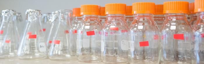 Photo of Laboratory Flasks