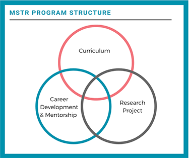 MSTR Program Structure: Curriculum, Career Development & Mentorship, Research Project